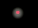 P7300006.jpg