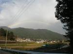 rainbow3.jpg